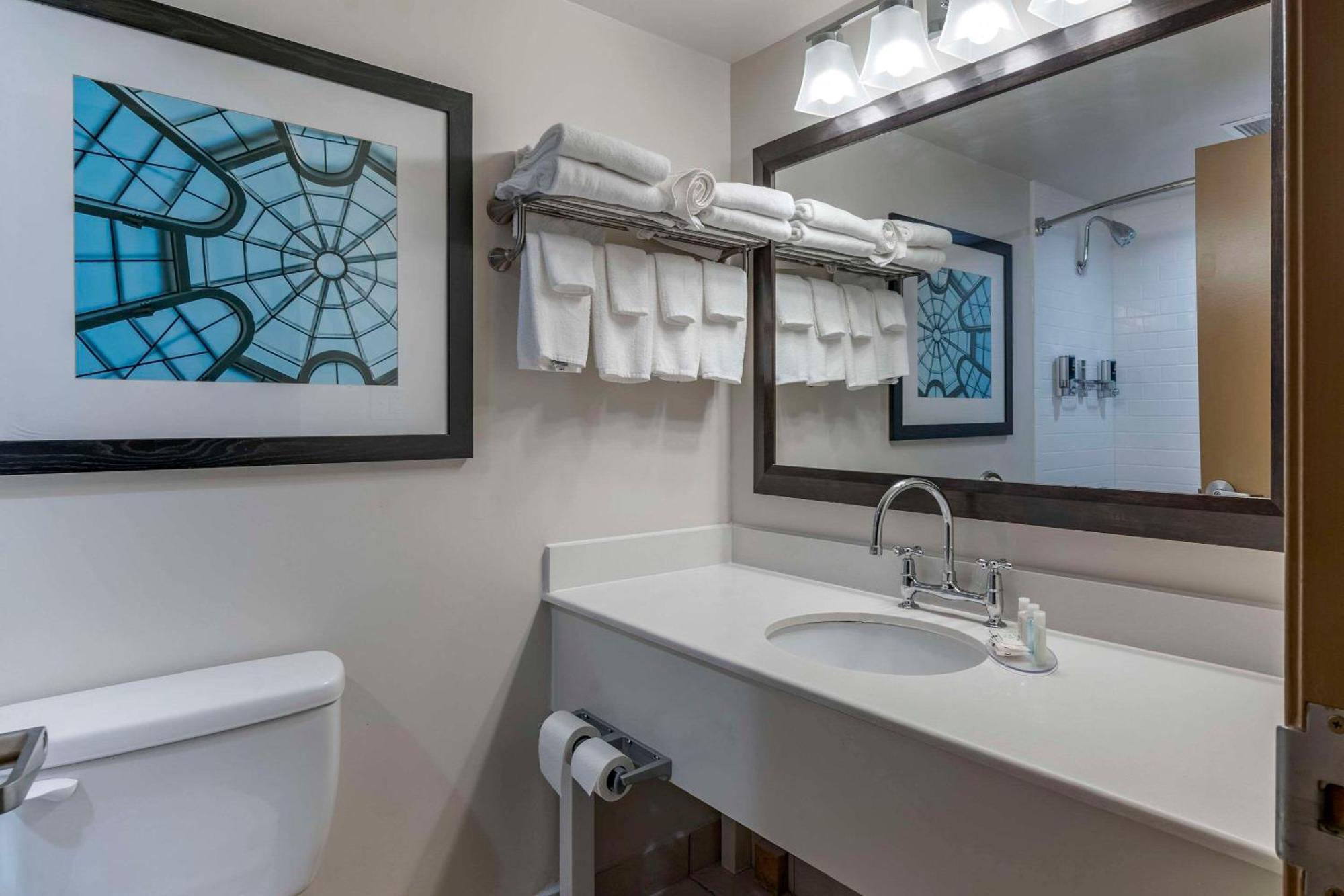 Quality Inn Lexington -Horse Park Extérieur photo